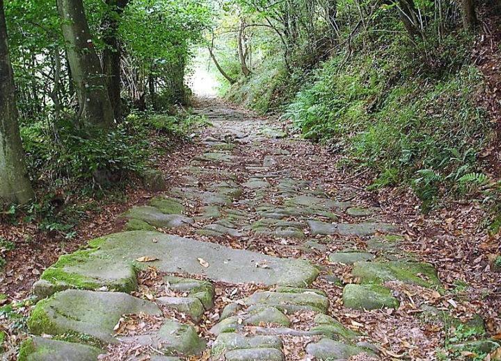Apartamento Estelas De Cantabria Corrales De Buelna Dış mekan fotoğraf